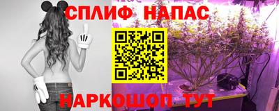 прущие грибы Пыть-Ях