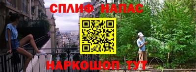 прущие грибы Пыть-Ях