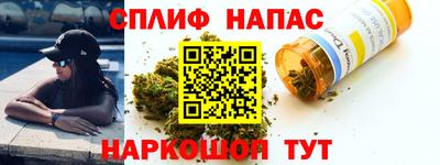 прущие грибы Пыть-Ях