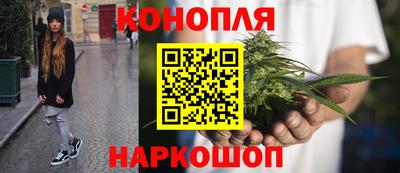 прущие грибы Пыть-Ях