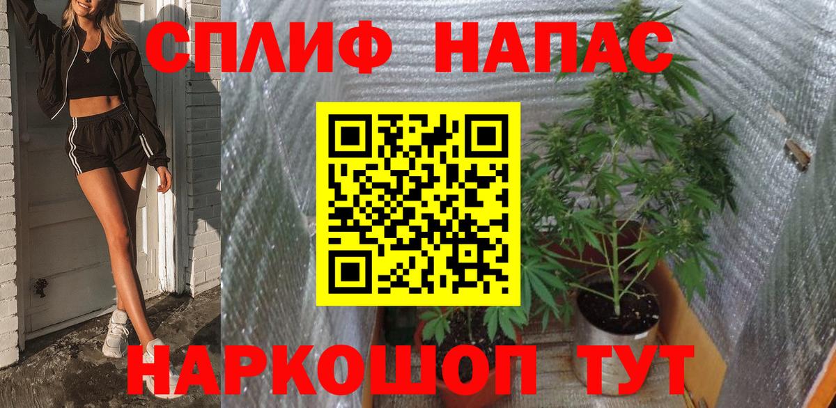 Конопля MAZAR Скопин